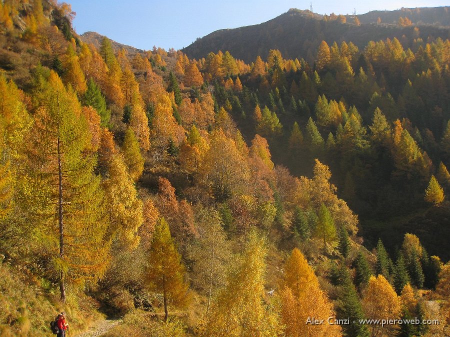 09 il bosco in fiamme.jpg